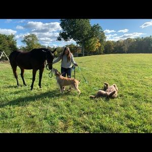 Meet your Posher, Emma